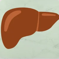 Liver Health Premium App